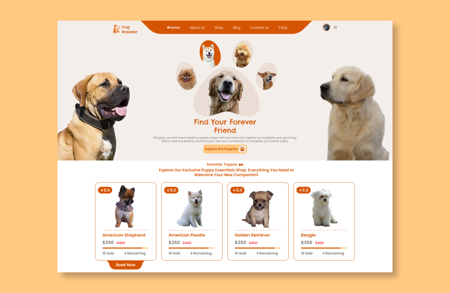 Free dog kennel wordpress theme