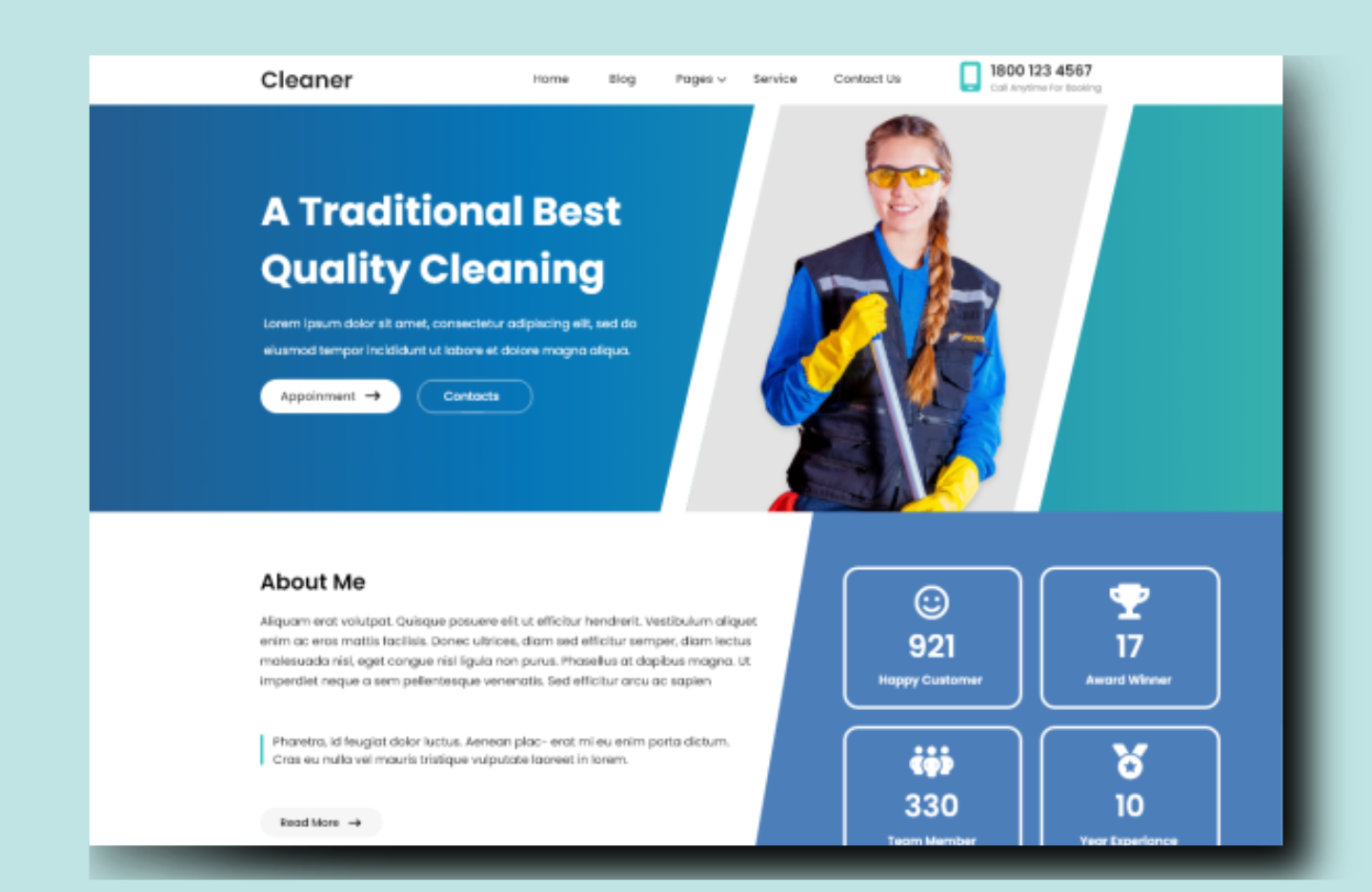 Free Cleaning WordPress Theme